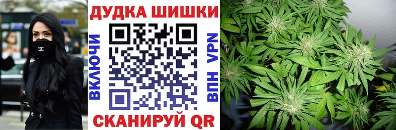 Шишки марихуана THC 21%  Кинешма 